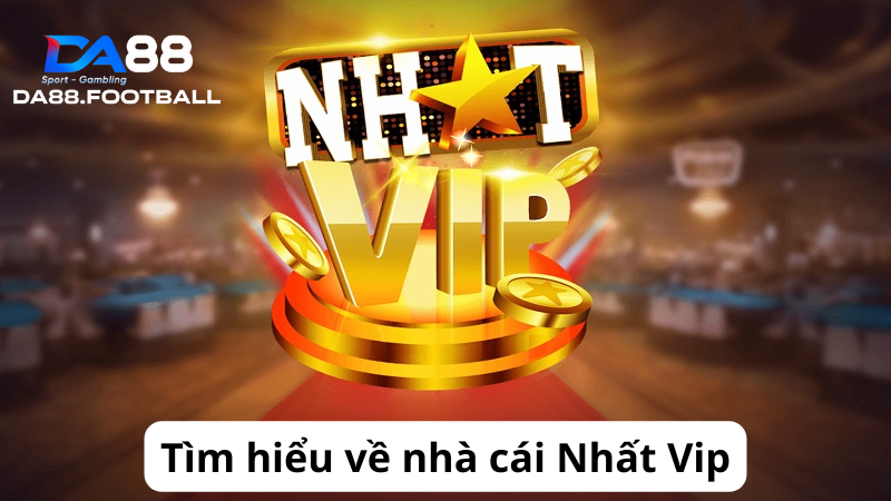 Tìm hiểu về nhà cái cá cược Nhất Vip